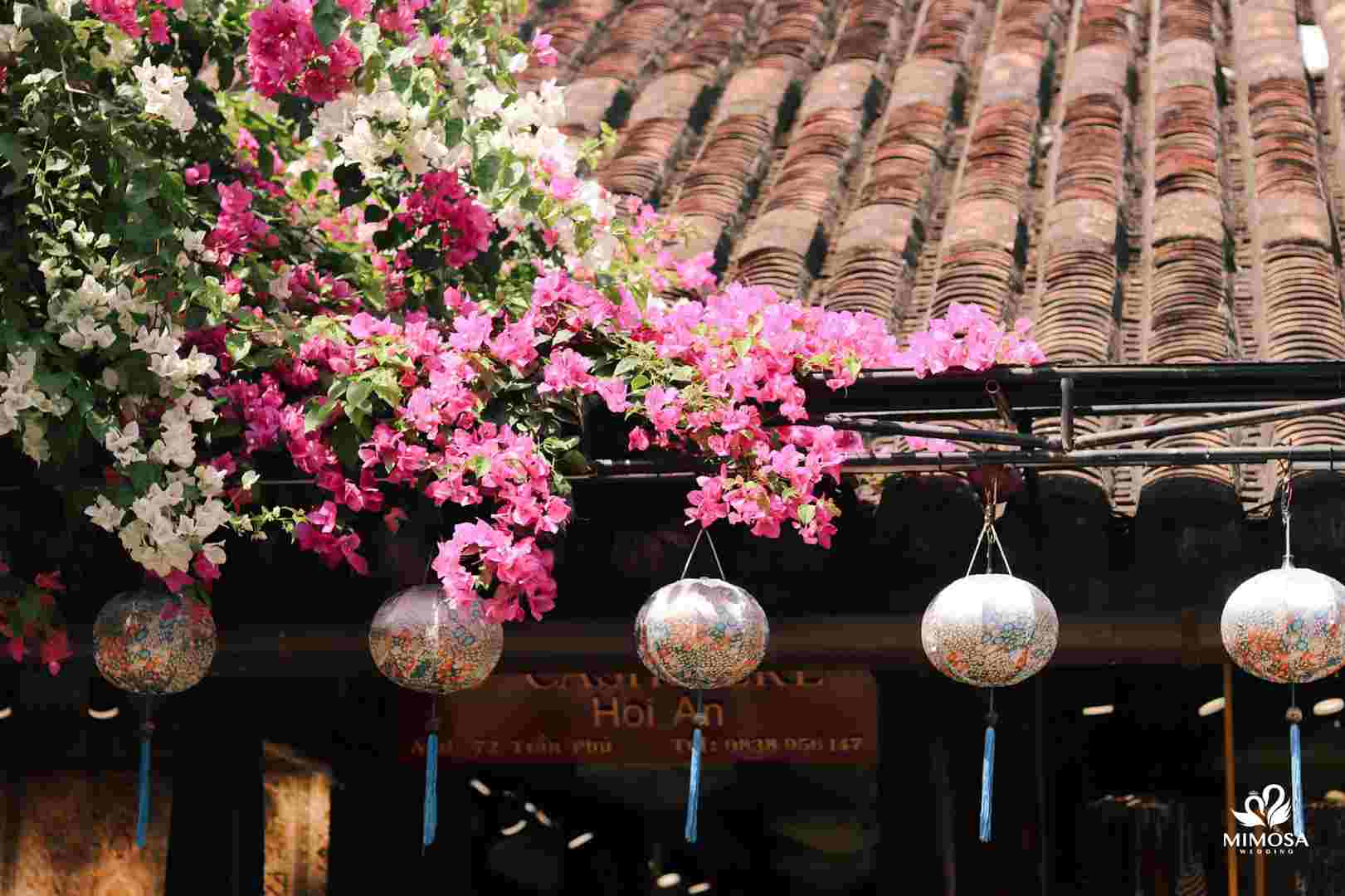 Chụp ảnh cưới phong cách Vintage : Concept Không bao giờ hết HOT